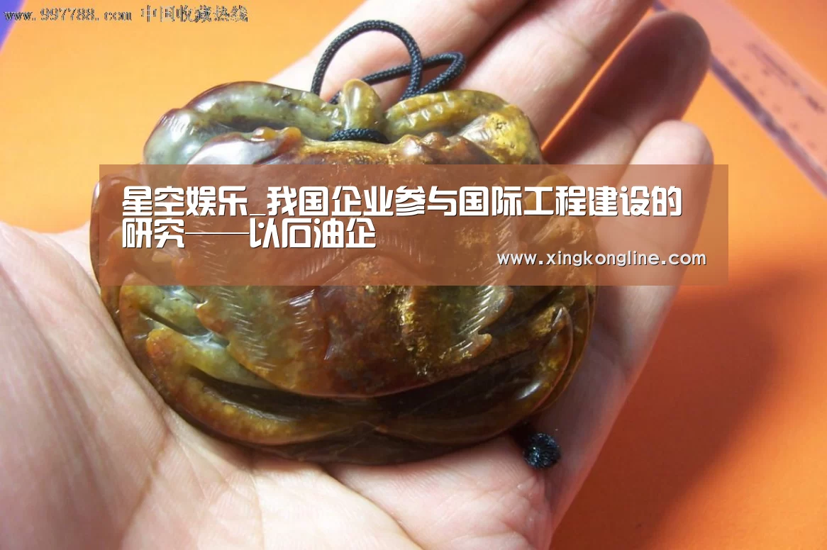 星空娱乐_我国企业参与国际工程建设的研究——以石油企(图4) 星空娱乐_我国企业参与国际工程建设的研究——以石油企(图4)