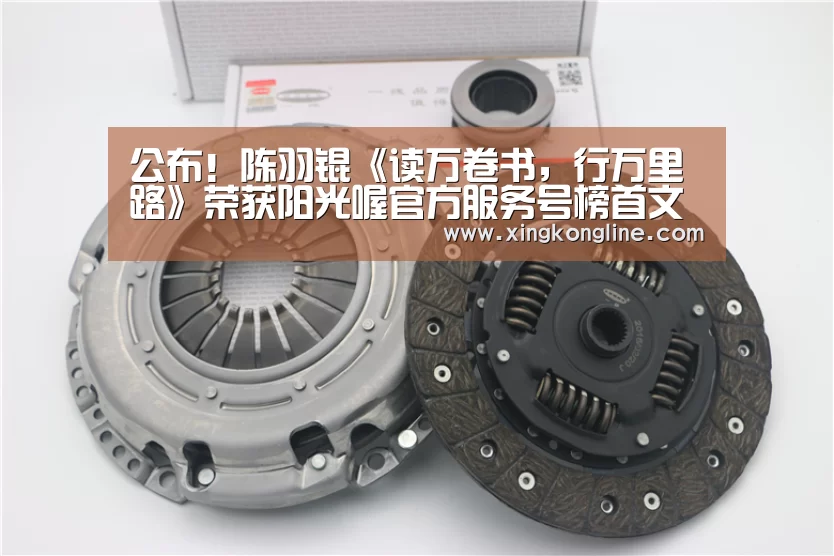 公布！陈羽锟《读万卷书，行万里路》荣获阳