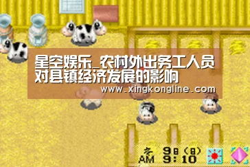 星空娱乐_农村外出务工人员对县镇经济发展的影响(图2) 星空体育