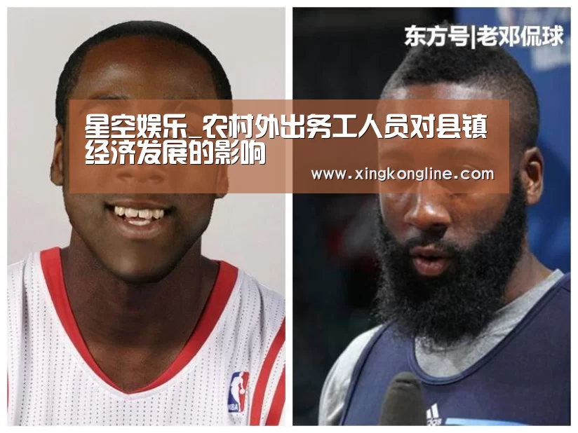 星空娱乐_农村外出务工人员对县镇经济发展的影响(图3) 星空娱乐官网登录
