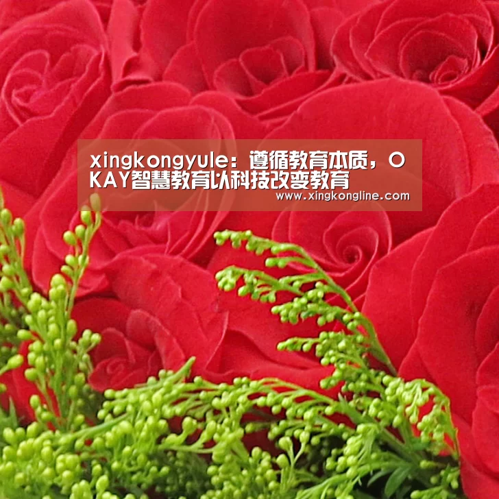 xingkongyule:遵循教育本质,OKAY智慧教育以科技改变教育(图3) xingkongyule:遵循教育本质,OKAY智慧教育以科技改变教育(图3)